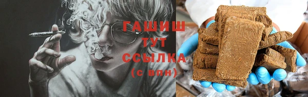 гидра Алексеевка
