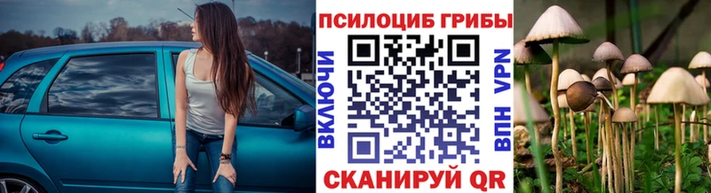 Галлюциногенные грибы Psilocybine cubensis  Лагань 